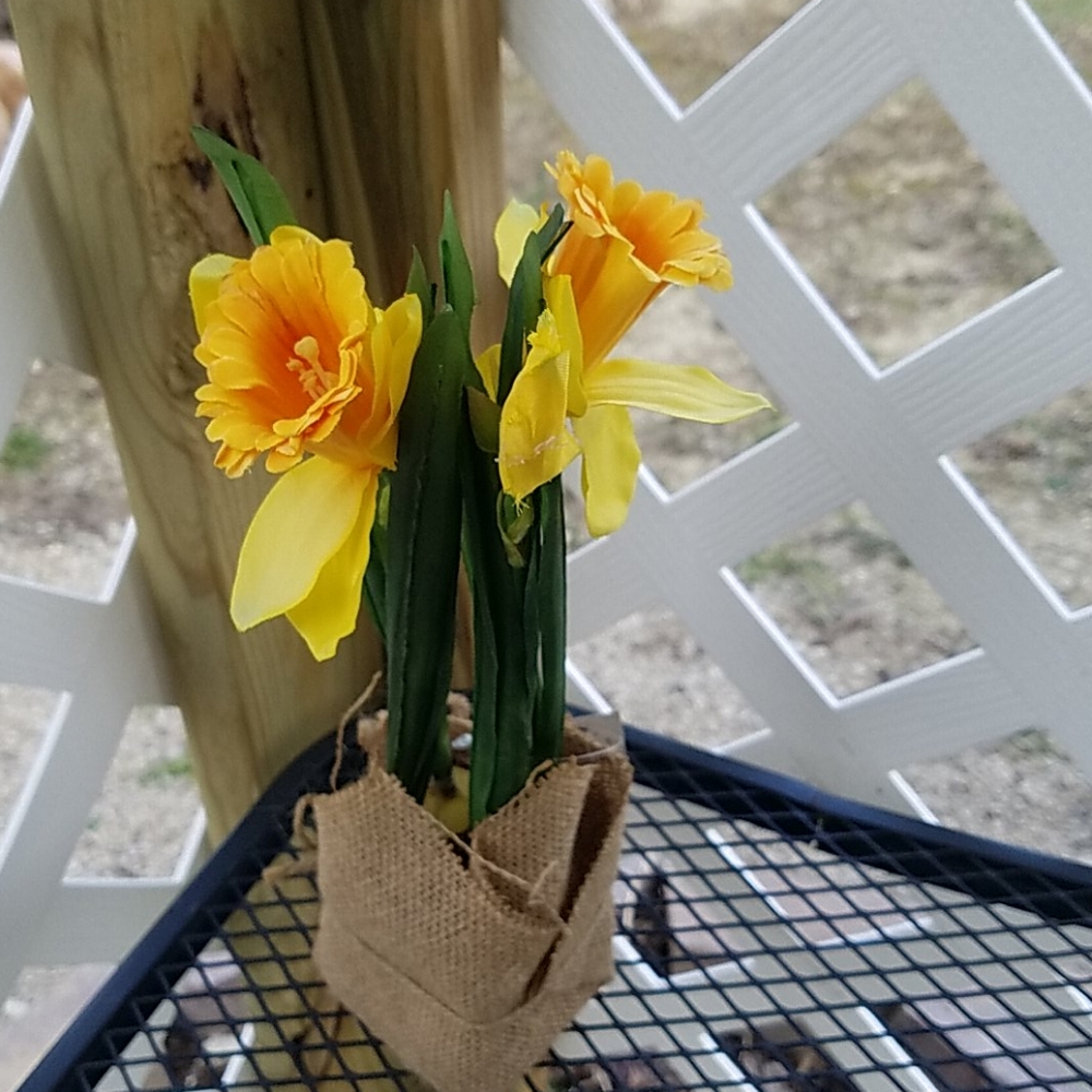 Spring flower's & Vase - Picture 3 of 5